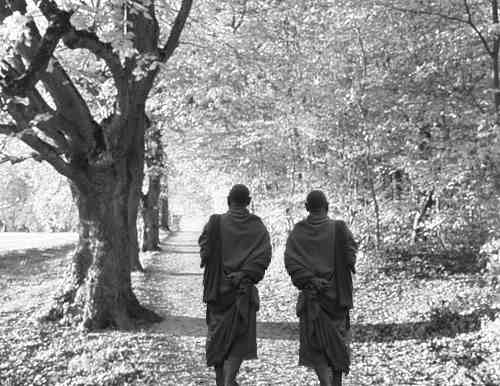 szerzetesek_erdoben