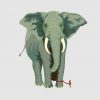 Az elefánt kötele – egy történet a bennünk lévő korlátokról